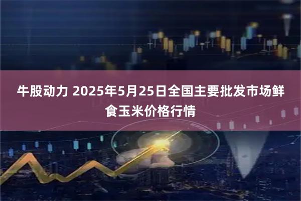 牛股动力 2025年5月25日全国主要批发市场鲜食玉米价格行情