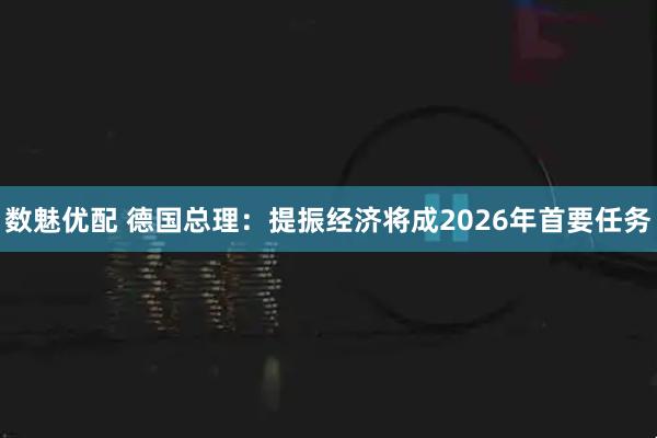 数魅优配 德国总理：提振经济将成2026年首要任务