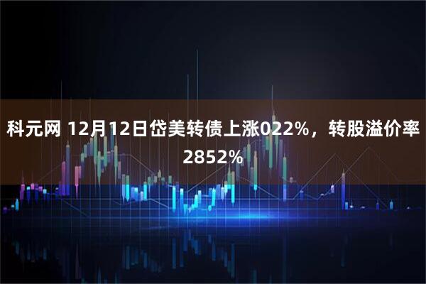 科元网 12月12日岱美转债上涨022%，转股溢价率2852%