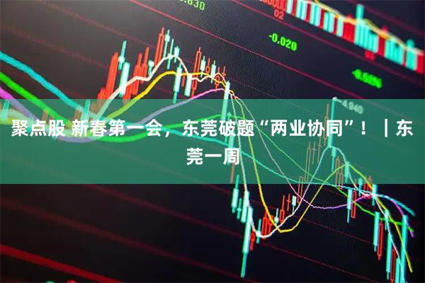 聚点股 新春第一会，东莞破题“两业协同”！｜东莞一周